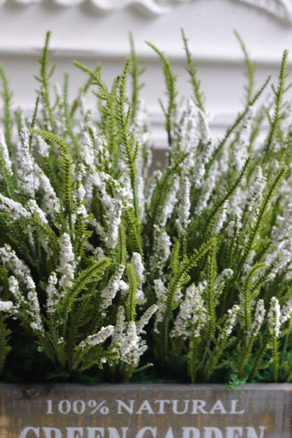 Green Garden, białe wrzosy w drewnianej skrzynce