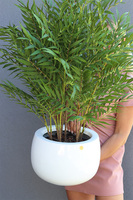 Zielony Apartament, sztuczna palma w donicy fiberglass