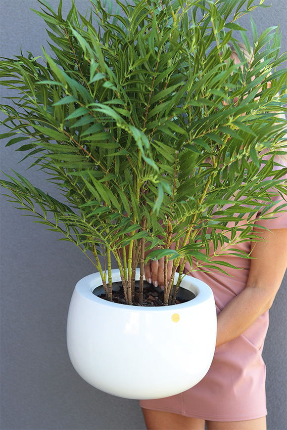 Zielony Apartament, sztuczna palma w donicy fiberglass