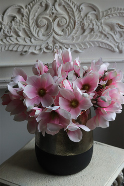 Magnolie Tresta, kompozycja kwiatowa w naczyniu, wys.40cm 