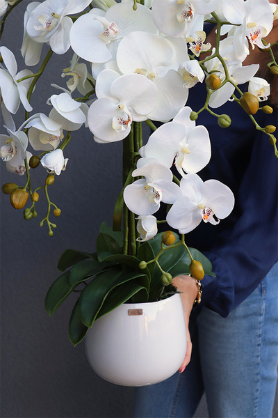 Ferani, biały storczyk w porcelanowym naczyniu, M