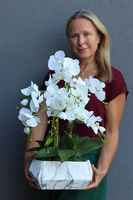 Marmurrana, sztuczny storczyk w donicy z marmurkowym wzorem, wys.60m