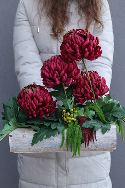 OD RĘKI Chryzantema Modern, kompozycja nagrobna w skrzynce, wys.45cm