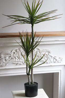 Dracena, wysokiej jakości sztuczna roślina, wym.105cm 