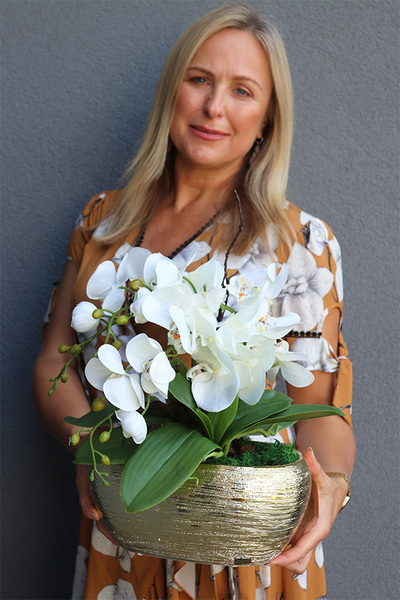 Goldisya Mini, elegancki storczyk w złotej osłonce, wys.38cm