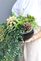 Green Delia, zielona kompozycja z sukulentami, wym.25x32cm 