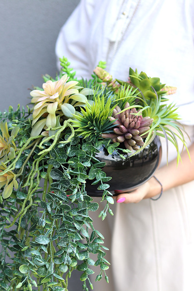 Green Delia, zielona kompozycja z sukulentami, wym.25x32cm 