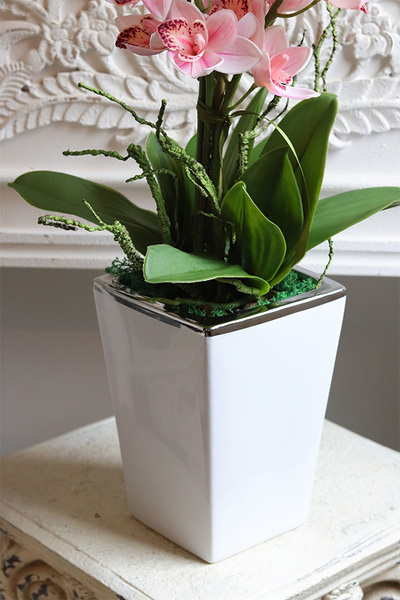 Pink Lanita, gumowy storczyk cymbydium w doniczce