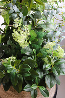 New Green Basket, drzewko sztuczne kolumnowe w donicy