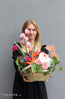 Streliziano, egzotyczna kompozycja ze strelicją