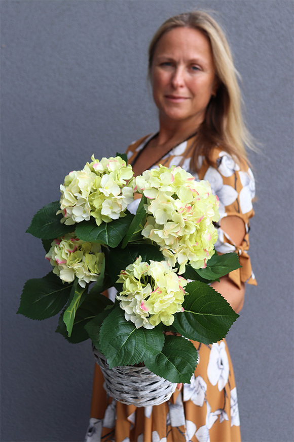 Fortuna Blue, hortensje w plecionym koszu, wys.54cm