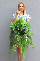 Lida Green, kompozycja zielona w wiszącej donicy