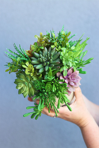 Industrial Stone Style, sukulenty w surowej donicy