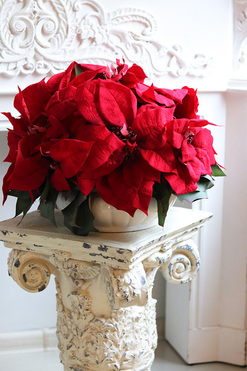 Gwiazda Betlejemska Carrington, wysokiej jakości sztuczna roślina, wys.35cm