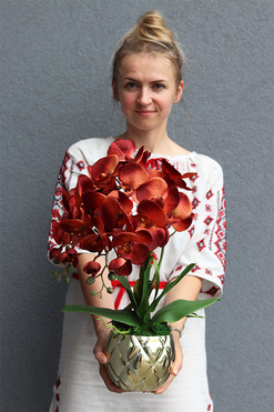 miedziany storczyk w złotej donicy, Mallona Brownie Red, wys.48cm 