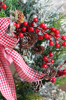 Redite mroźny wianek zimowy z kokardą