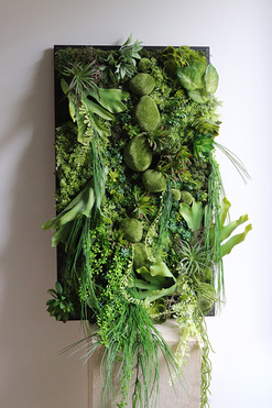 Green Hotels Eureka, czarna jednostronna rama sukulenty, wym.80x47cm