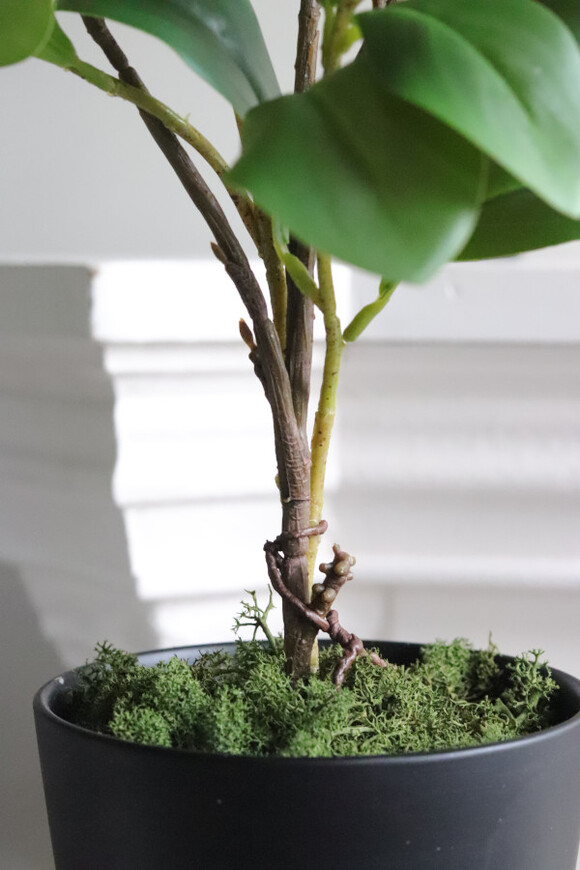 Sicilia Lemon, sztuczne drzewko cytrynowe