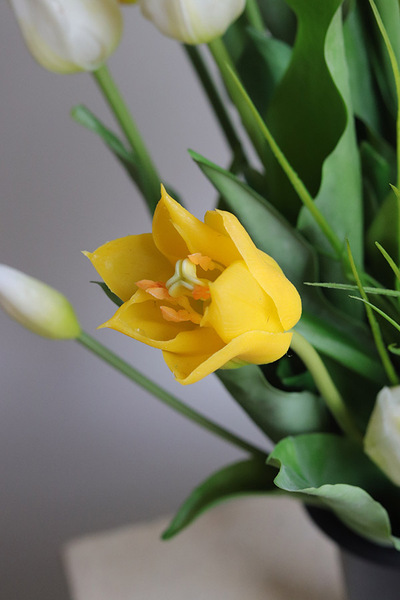 Tulipanowy Sen Spring, nowoczesny bukiet nagrobny we wkładzie