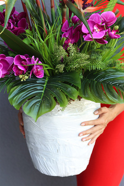 Strelicja&Orchidea Saute, kompozycja kwiatowa XXL do Twojej donicy, wys.102cm 