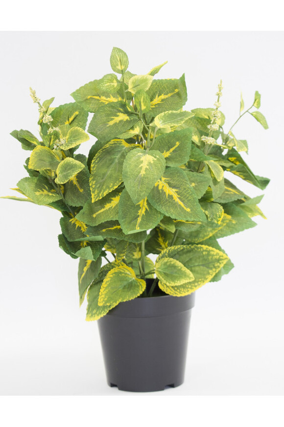 Koleus / Pokrzywka A, sztuczna roślina w osłonce / donicy, wym.40x28x28cm