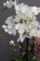 Mattea Gold Big, storczyk w metalowym naczyniu