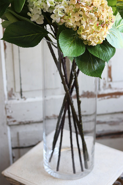 Getuda, bukiet magnolii i hortensji w szklanej tubie, wys.91cm 