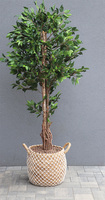 Drzewko Ficus Benjamin, sztuczne drzewo w ozdobnym koszu, wys.197cm