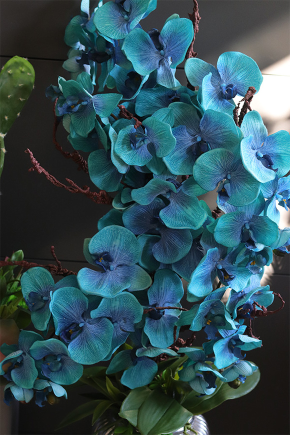 Blue Lagoon Hilton, niebieski sztuczny storczyk podłogowy