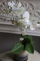 Naturena, wysokiej jakości sztuczny storczyk