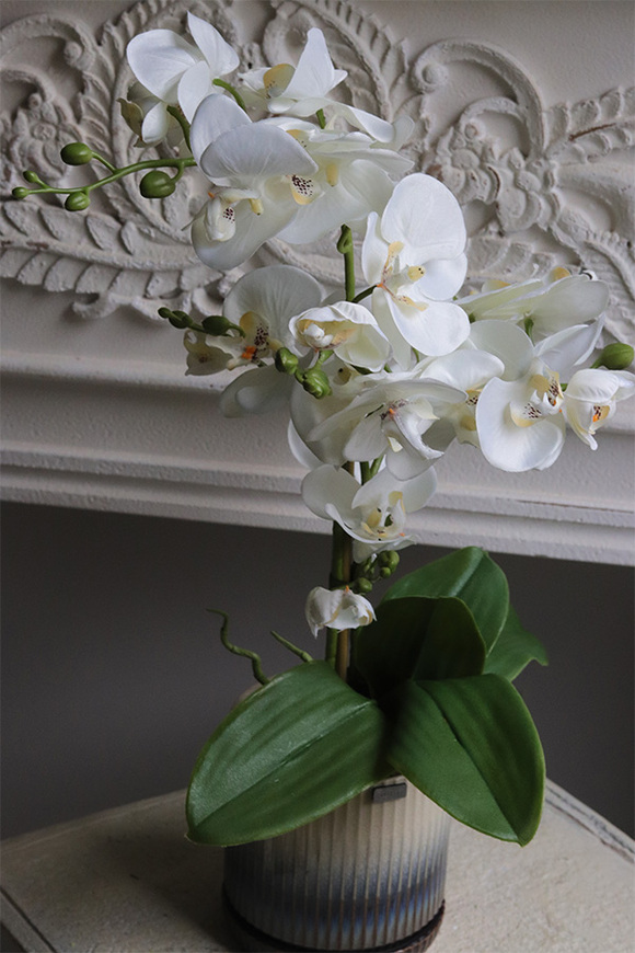 Naturena, wysokiej jakości sztuczny storczyk