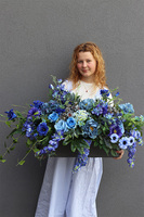 Opera Blue Sky, kompozycja kwiatowa w donicy