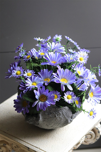 Volcan Blue, fioletowo-niebieskie kwiaty w ciężkim naczyniu