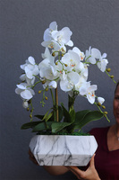 Marmurrana, sztuczny storczyk w donicy z marmurkowym wzorem, wys.60m