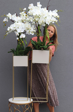 storczyki Duo Italiano, kpl.2szt., wys.140/148cm