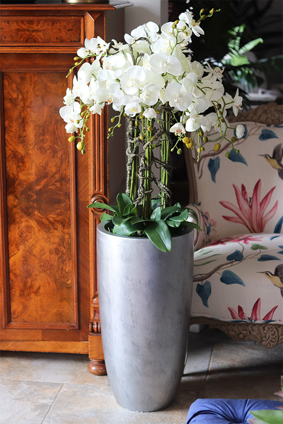 Grande Teoso, storczyk podłogowy w srebrnej donicy, wys.132cm