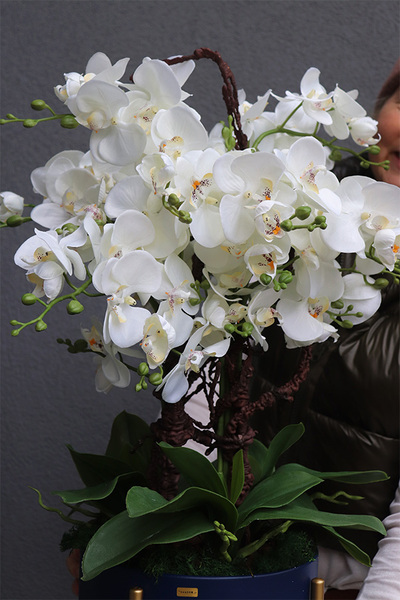 Neomi Medium, sztuczny storczyk w niebieskiej donicy na stojaku