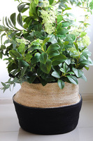 New Green Basket, drzewko sztuczne kolumnowe w donicy