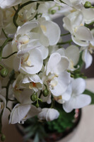 Silver Suculenti, sztuczny storczyk w lustrzanej donicy