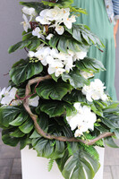 Monstera&Storczyk Fiberglass Sydney, roślinna dekoracja podłogowa