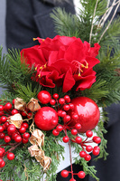 Amarylis Winter Gold A, świąteczna kompozycja z czerwonymi kwiatami