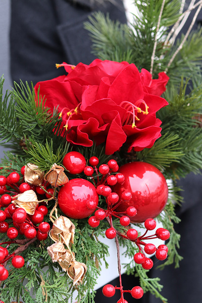 Amarylis Winter Gold A, świąteczna kompozycja z czerwonymi kwiatami