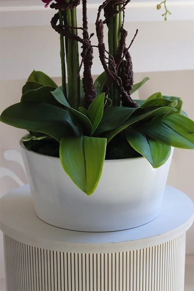 Fuksja House Malaga, sztuczny storczyk w białej donicy,