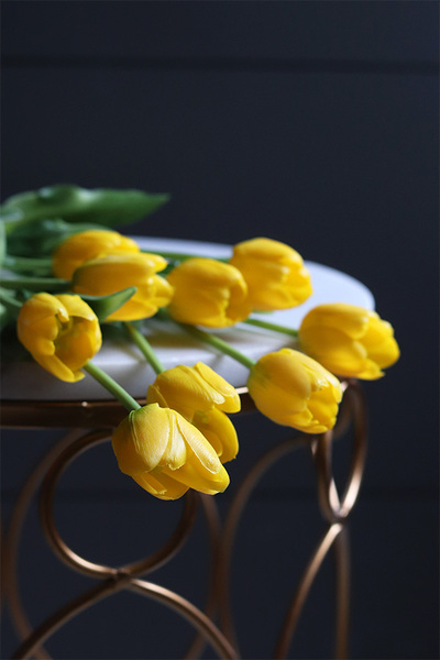 Marzia Yellow, tulipan gumowy, gałązka