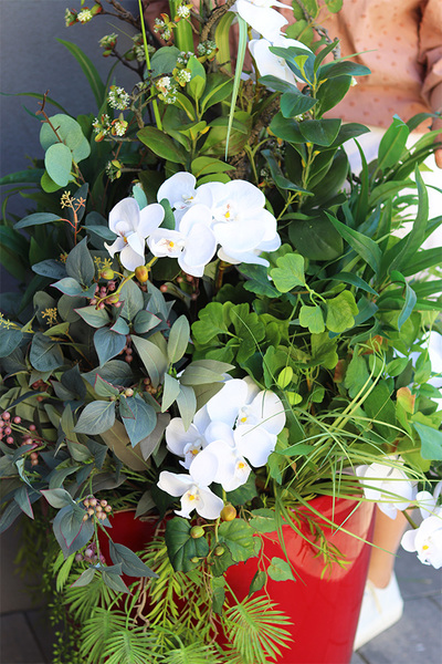 Orchideno Modern Classico, kompozycja ze storczykiem w czerwonej donicy