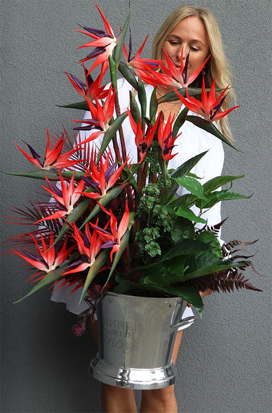 Cooler Strelicja&Friends, egzotyczna kompozycja w coolerze