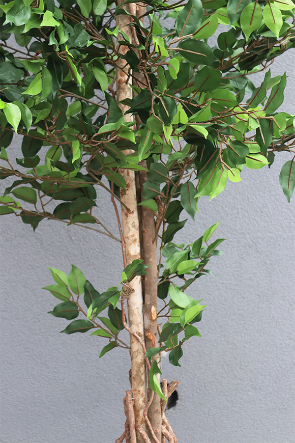 Drzewko Ficus Benjamin, sztuczne drzewo w ozdobnym koszu, wys.197cm