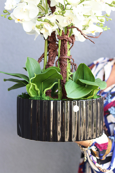 Nullina Black, sztuczny storczyk w czarnej misie