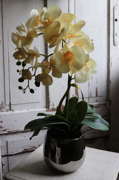 Fedrai, żółty sztuczny storczyk, wys.57cm 