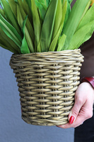 kompozycja z gumowych tulipanów w donicy imitującej kosz, Odessa, wys.60cm 